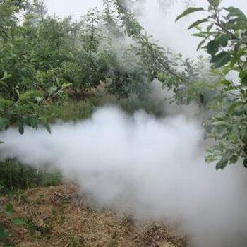 葡萄园杀虫烟雾机脉冲动力单管双管打药机图片农用植保机械