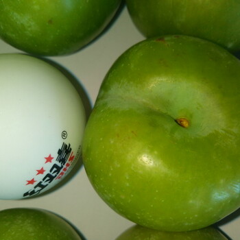 貴陽(yáng)脆紅李子苗，通化李子苗畝產(chǎn)量，李子苗種植行株距