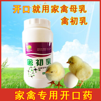 雏鸡开口药用什么，达龙禽初乳防治白痢/肠道疾病和抑制病