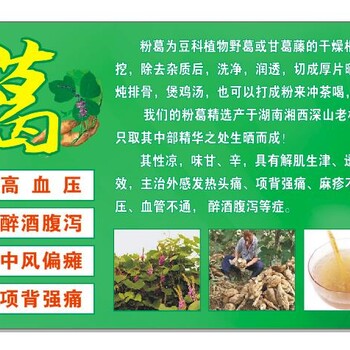 湘西粉葛干粉葛地摊粉葛展会粉葛粉葛批发