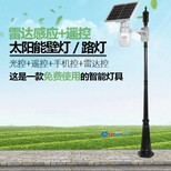 好美新品LED路灯新农村建设用一体化桃子灯别墅庭院用微波感应路灯图片2