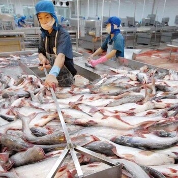越南巴沙鱼进口关税是多少怎么计算