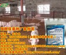 山东发酵床养猪发酵床养猪菌种批发价格