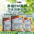 鸽子拉白色稀屎用em益生菌有没有效果