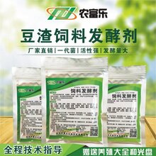 发酵豆渣的豆渣发酵剂那里可以买到图片