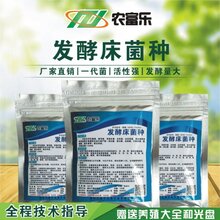那里可以买到农富乐养猪用的发酵床菌种图片