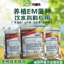 养殖喂鸡的em益生菌那个牌子的产品好图片