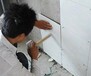 贵州铜仁瓷砖粘结剂厂家新闻资讯