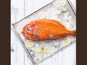 长寿鱼_花斑鲽_阿根廷红虾_银鳕鱼-青岛百川海洋食品