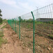 安平聚光公路护栏网道路隔离网厂家供应双边丝围栏网防护围栏网