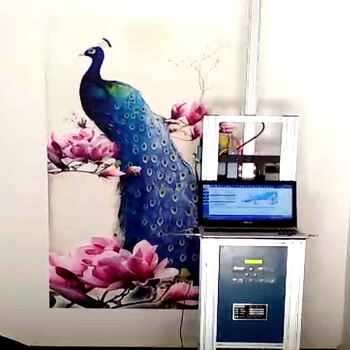 创业便携墙体3d彩绘打印机立式户外墙壁广告背景墙喷绘画机