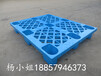 厂家直销10.8米蓝色环保塑料托盘工厂物流防潮仓库托盘