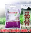 生物杀虫剂苏云金杆菌100亿活菌致使害虫血液化脓神经麻痹肠道阻塞死亡图片