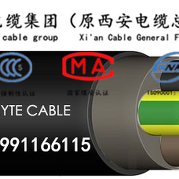 长通电缆陕西供应YJV224×35+1×16平方电力电缆