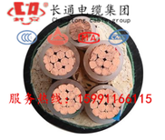 国标保检延安供应YJV223×300平方高压电力电缆图片4