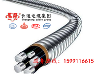 长通电缆周至供应YJHLV223×120+1×70mm铝合金电缆图片4