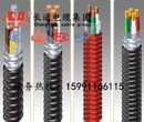 长通电缆郑州供应YJHLV223×400+2×185mm铝合金电缆图片
