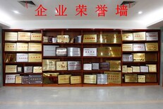 申报中国品牌需要具备什么样的条件图片0