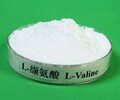 工業級L-纈氨酸河北豐味批發零售L-纈氨酸