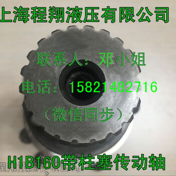 长期提供萨澳H1B160带柱塞传动轴