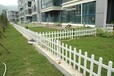 中山PVC花园花坛护栏塑钢花池草坪护栏园林景观护栏美式欧式护栏厂家直销