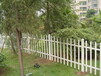 深圳景观园林围栏PVC草坪护栏塑钢花园围栏道路花池护栏厂家直销批发