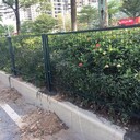 佛山公路護(hù)欄網(wǎng)馬路隔離網(wǎng)道路防爬網(wǎng)綠化分隔網(wǎng)現(xiàn)貨批發(fā)安裝