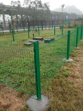 深圳桃型柱护栏网三角折弯护栏网机场防护网Y型柱护栏网厂家现货批发图片
