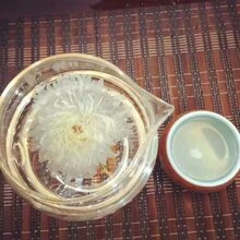 白朵菊花茶图片