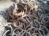 孟村S（蛇）形不锈钢弯管生产厂家