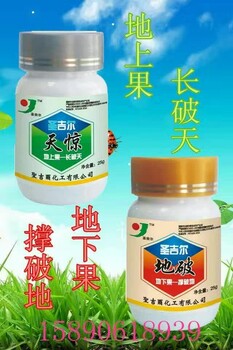 作物膨大素涨破天-圣吉尔天惊植物增产的产品