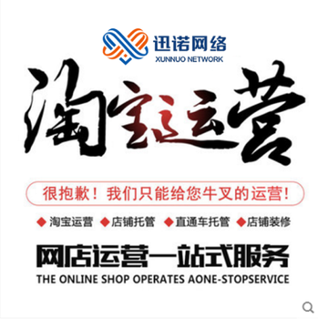 青岛迅诺网络网站运营淘宝运营小程序开发
