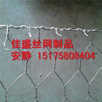 包塑生態(tài)格賓網(wǎng)河岸鉛絲石籠網(wǎng)鍍鋅格賓網(wǎng)箱六角石籠網(wǎng)