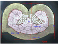 长方光学股份仪器图片1