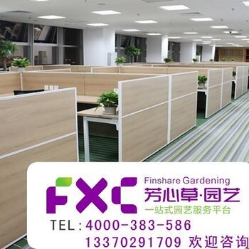 上海普陀區(qū)植物租擺公司