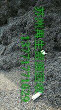 1523743623051761300-4.jpg@1e_1c_220w_220h_90Q.jpg