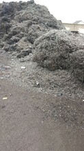 蘇州園區廢鐵銅鋁不銹鋼回收站圖片