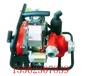 救援WICK250加拿大森林消防泵
