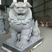 肇庆花岗岩石狮子-200对石狮子成品,石狮子雕刻