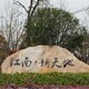 20190311230547_5350_zs_sy
