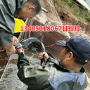 水產(chǎn)魚吊牌追溯系統(tǒng)二維碼魚扣防水有機(jī)魚類吊牌標(biāo)簽