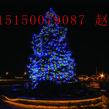 夢幻圣誕樹燈光節(jié)出售大型圣誕裝飾