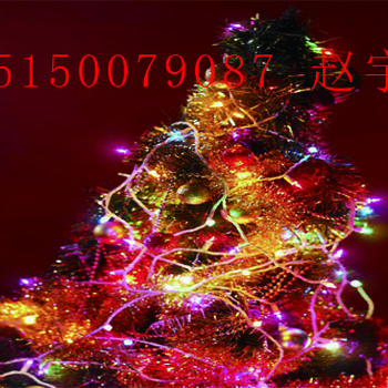 夢(mèng)幻燈光節(jié)出售唯美燈光節(jié)出售震撼燈光節(jié)出售