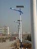 云南漳州大型太陽能路燈工程案例展示