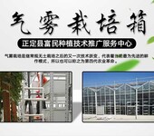 草莓立体种植栽培槽正定富民塑料制品开发公司