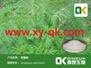 咸阳秦昆生物医学工程有限公司苦参等提取物火爆活动