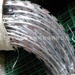 热镀锌刺绳金属丝绳不锈钢刺绳厂家定做护栏网图片5