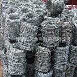 热镀锌刺绳金属丝绳不锈钢刺绳厂家定做护栏网图片2