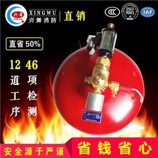 兴舞消防电磁悬挂式七氟丙烷气体灭火装置3C品质图片2