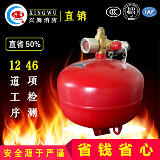 兴舞消防电磁悬挂式七氟丙烷气体灭火装置3C品质图片4
